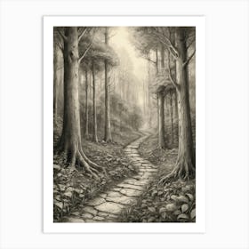 Path In The Woods 13 Art Print