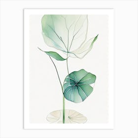 Water Lily Leaf Minimalist Watercolour 3 Art Print