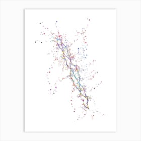 Collagen Protein Art Print