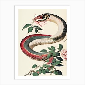 Chinese Cobra Snake Vintage Art Print