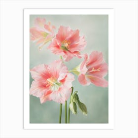 Amaryllis Flowers Acrylic Pastel Colours 4 Art Print