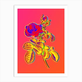 Neon Provence Rose Botanical in Hot Pink and Electric Blue n.0432 Art Print