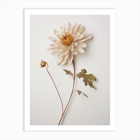 Pressed Flower Botanical Art Chrysanthemum 2 Art Print