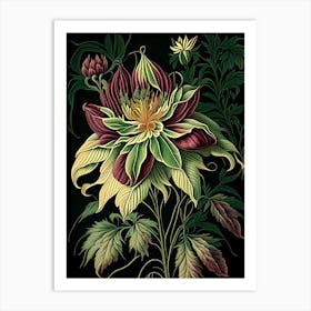 Dahlia Imperialis 2 Floral Botanical Vintage Poster Flower Art Print