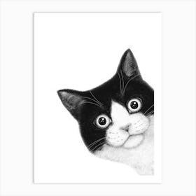 Surprised Black And White Cat Art Print