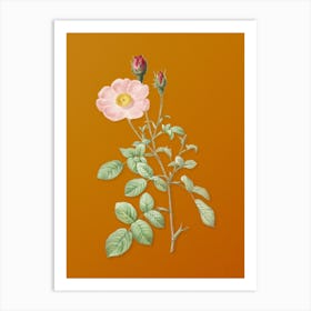 Vintage Sparkling Rose Botanical on Sunset Orange n.0213 Art Print