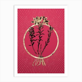 Gold Lily of the Incas Glitter Ring Botanical Art on Viva Magenta n.0134 Art Print