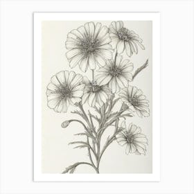 Marigold Vintage Botanical Flower Art Print