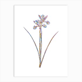 Stained Glass Spanish Iris Mosaic Botanical Illustration on White n.0278 Art Print