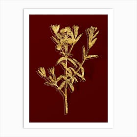 Vintage Bog Laurel Bloom Botanical in Gold on Red n.0169 Art Print