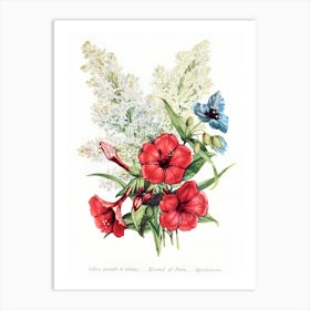 Red, White And Blue Flowers Art Print