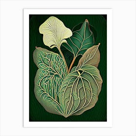Wild Yam Herb Vintage Botanical Art Print