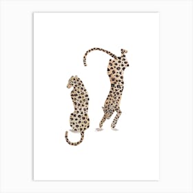 Leopards Art Print