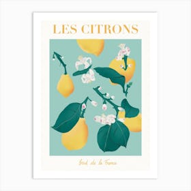 Lemon South Of France Art Print