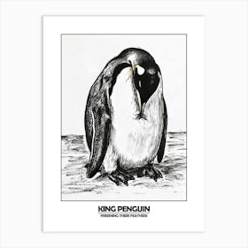 Penguin Preening Their Feathers Poster 6 Art Print