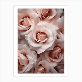 Pink Roses Art Print