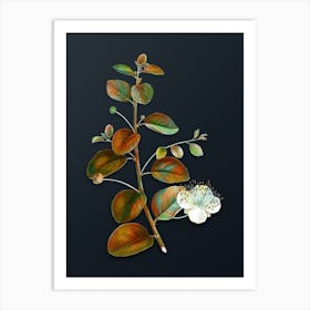 Vintage Caper Plant Botanical Watercolor Illustration on Dark Teal Blue n.0270 Art Print