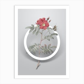 Vintage Rosa Redutea Glauca Minimalist Floral Geometric Circle on Soft Gray n.0550 Art Print