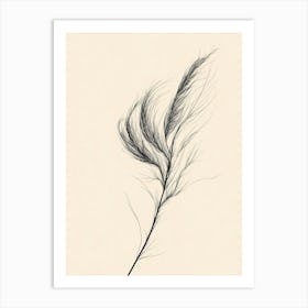 Feathers Art Print