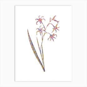 Stained Glass Gladiolus Cuspidatus Mosaic Botanical Illustration on White Art Print