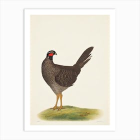 Grouse Illustration Bird Art Print