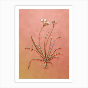 Vintage Allium Fragrans Botanical Art on Peach Pink n.0517 Art Print