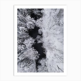 Black River Through The Snowy Winter Forest Art Print