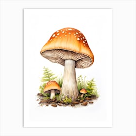 Mushroom Drawing Art Print