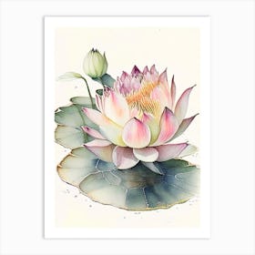 Blooming Lotus Flower In Pond Watercolour Ink Pencil 2 Art Print