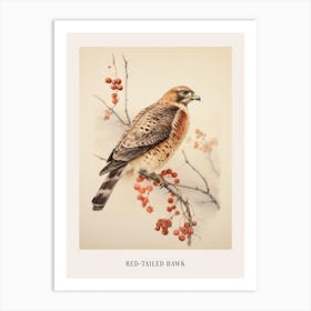 Vintage Bird Drawing Red Tailed Hawk 3 Poster Art Print