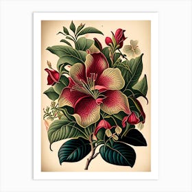 Mandevilla Floral Botanical Vintage Poster Flower Art Print