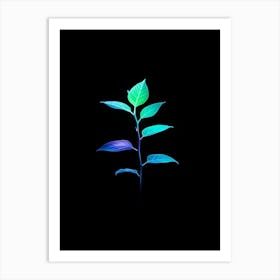 Plant On A Black Background 7 Art Print