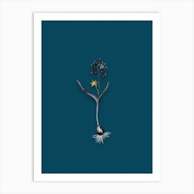 Vintage Alpine Squill Black and White Gold Leaf Floral Art on Teal Blue n.0242 Art Print