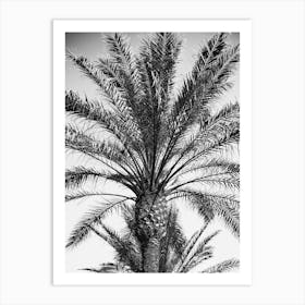 Palmtree in Black & White // Ibiza Nature & Travel Photography Art Print