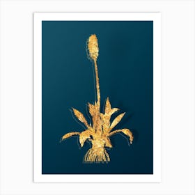 Vintage Swamp Pink Botanical in Gold on Teal Blue Art Print