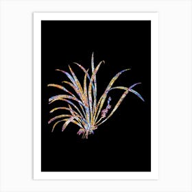 Stained Glass Sansevieria Carnea Mosaic Botanical Illustration on Black n.0164 Art Print