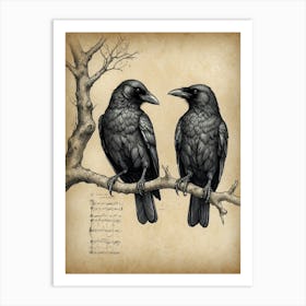 Crows On A Branch 1 Art Print