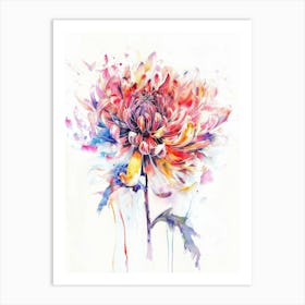 Chrysanthemum 3 Art Print