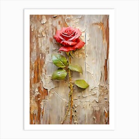 Rose On The Wall 1 Art Print