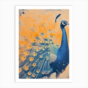 Vintage Orange & Blue Peacock Art Print