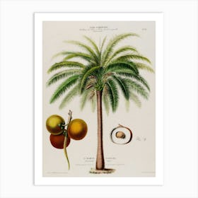 Palm Tree 2 Art Print