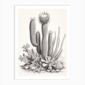 Vintage Cactus Illustration Zebra Cactus B&W Art Print