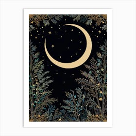 Moon And Stars Art Print