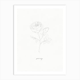 Peony Line Drawing Art Print