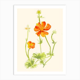 Orange Daisy Flower Painting Art Print