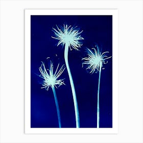 Dandelion 3 Art Print