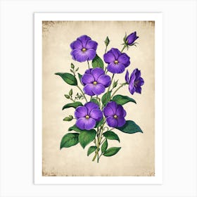 Purple Hibiscus Flowers Art Print