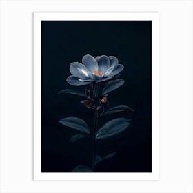 Dark Blue Flower 4 Art Print