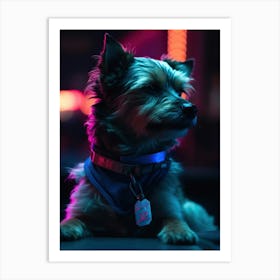 Dog At Night 1 Art Print