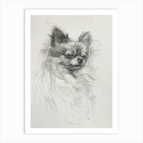 Pomeranian Dog Charcoal Line 4 Art Print